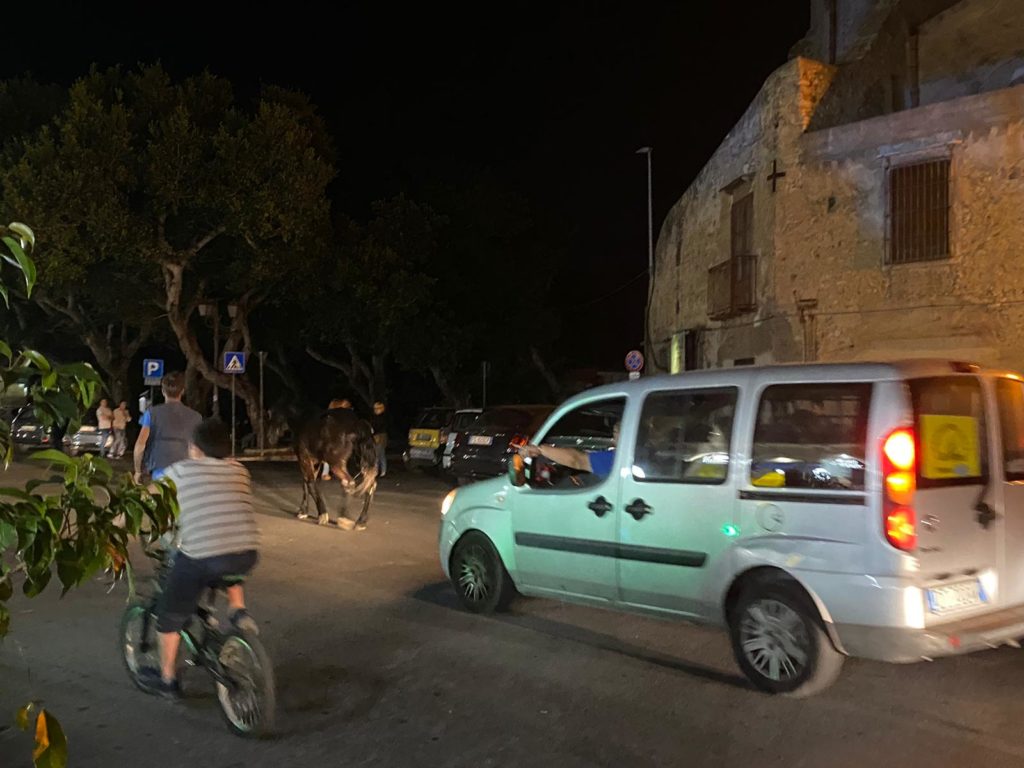 Momenti Di Panico A Termini Imerese Cavallo Senza Controllo Al Belvedere Himeralive It Momenti Di Panico A Termini Imerese Cavallo Senza Controllo Al Belvedere