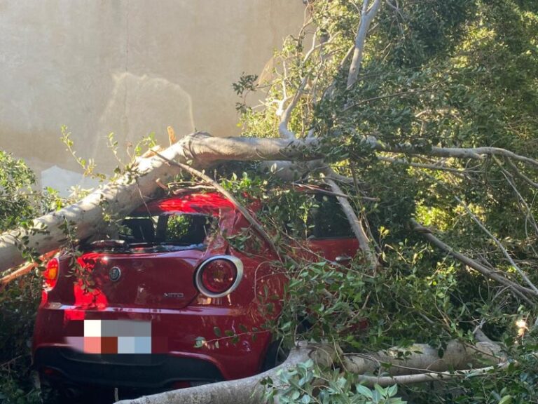 Forte vento nella notte a Termini Imerese: senza luce le contrade Caracoli e Calcasacco