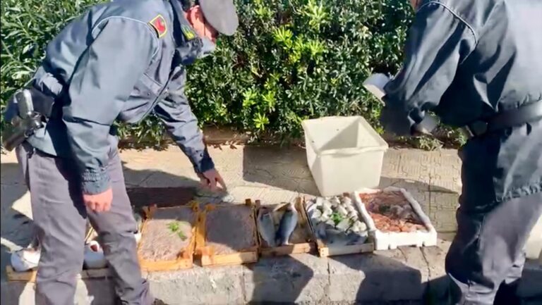 Contrasto ambulanti abusivi a Termini Imerese: sequestrati 34 chili di pesce e sanzionato il venditore