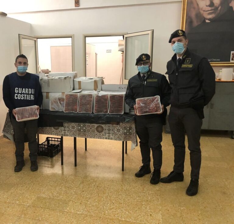 Sequestrati due quintali di gamberoni e scampi  provenienti da Napoli al porto di Palermo