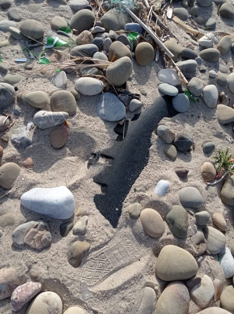 Inquinamento: la ruota di un’autovettura sotterrata nella sabbia della spiaggia di Termini Imerese