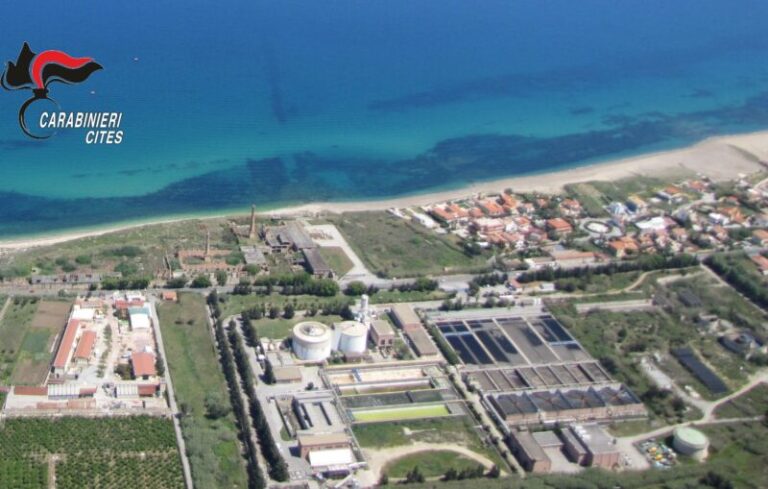 Servizio ambiente e depurazione acqua: commissariata l’Amap di Palermo FOTO