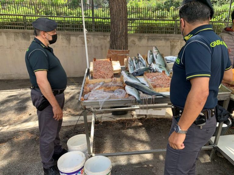 Controlli agli ambulanti a Termini Imerese: le fiamme gialle sequestrano 47 chili di prodotto ittico