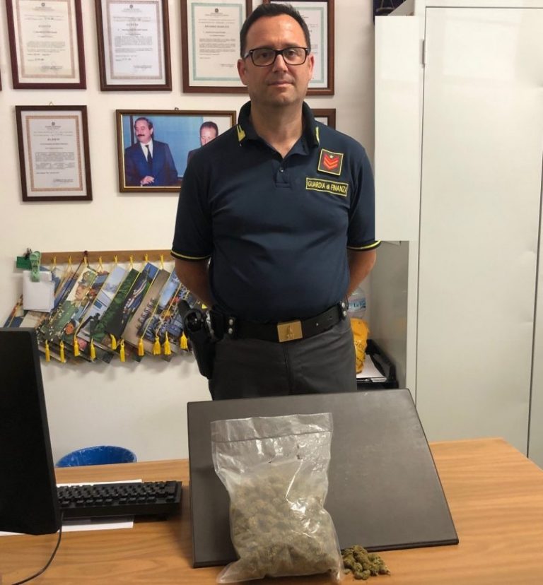 Guardia di Finanza: sequestro di marijuana in provincia di Palermo