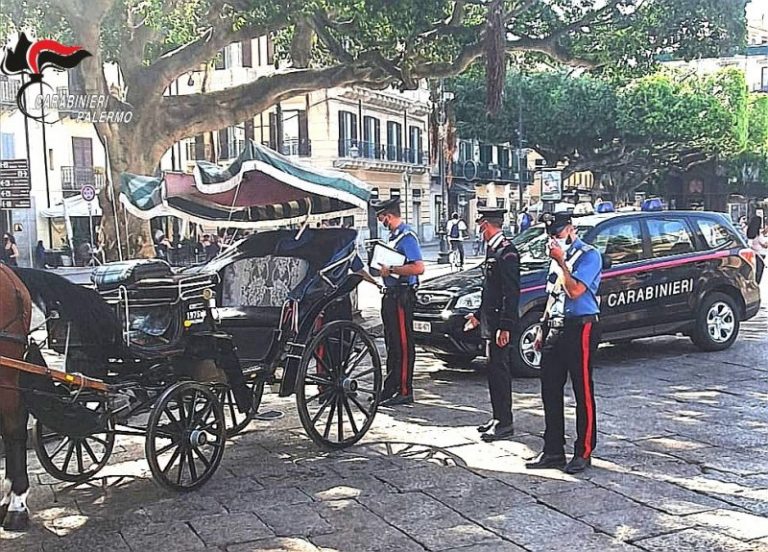 Calessi e “Gnuri” controlli e sanzioni