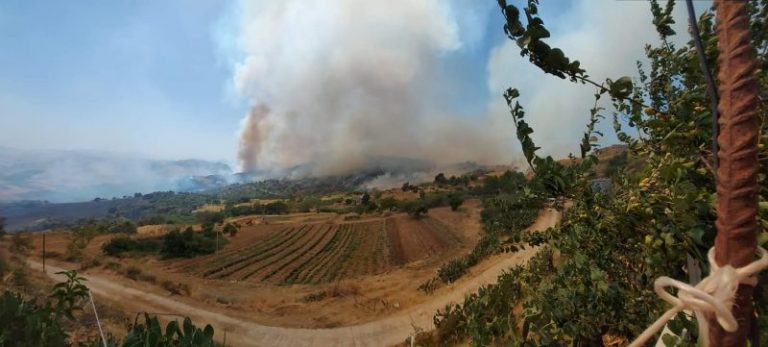 Devastante incendio a Caccamo: la disperazione di un allevatore, salvi gli animali LE FOTO