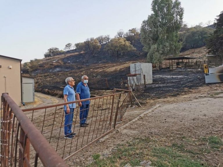 Incendio Caccamo: l’amministrazione comunale al fianco delle aziende colpite