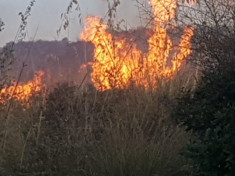 Incendio sulla SS 113: chiusa al traffico a Campofelice di Roccella