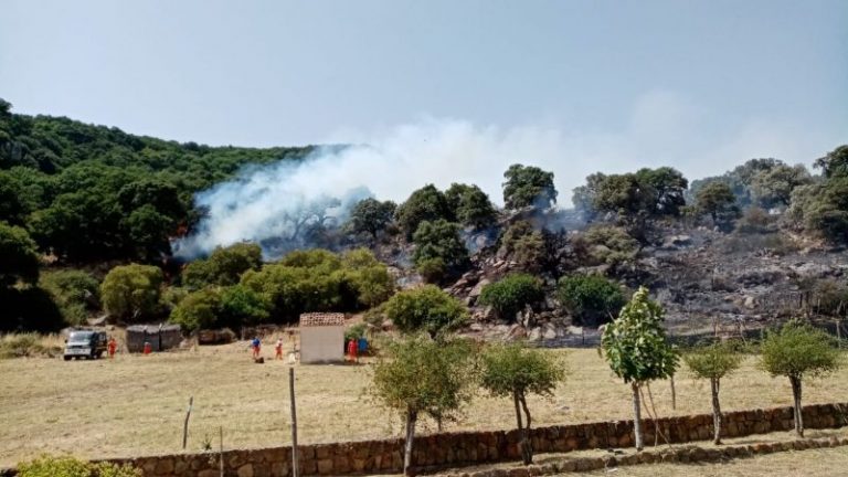 Emergenza incendi in provincia di Palermo: brucia la riserva naturale orientata Granza Favara FOTO