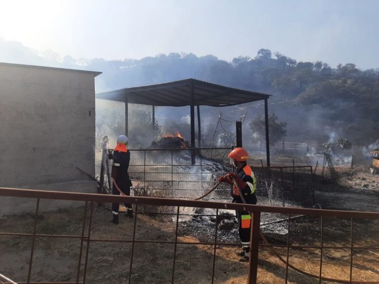 Incendi in Sicilia: in arrivo oltre trenta squadre di volontari richieste da Musumeci