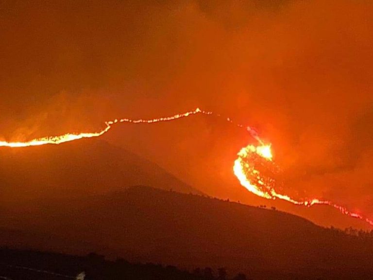 Bruciano le Madonie, l’appello di Mons. Giuseppe Marciante