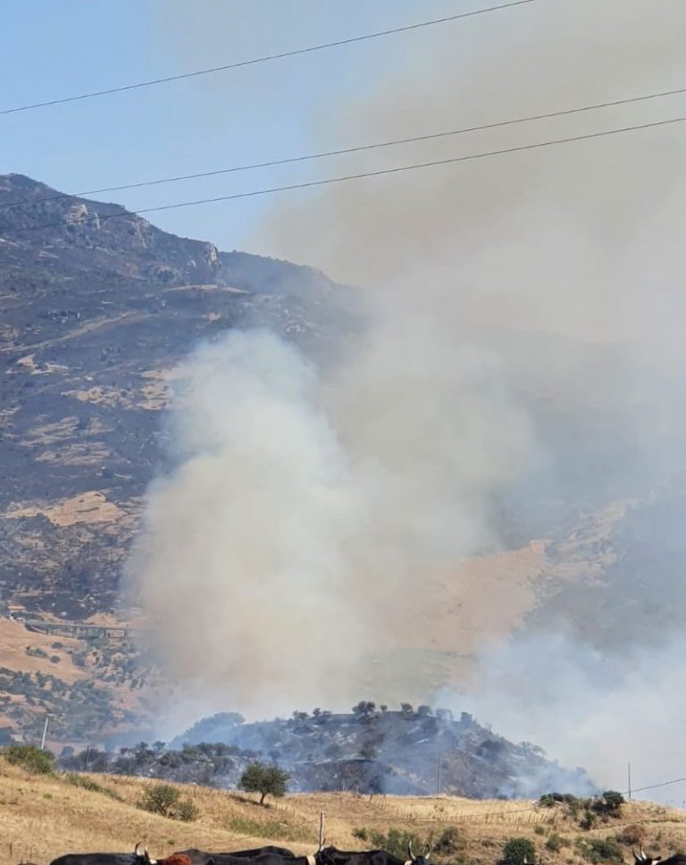 Incendio a San Mauro di Castelverde: paura in contrada Canalicchio