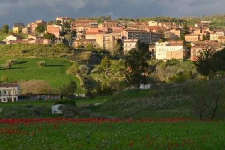 Vasto incendio da Tremonzelli distrugge il campo di papaveri di Blufi