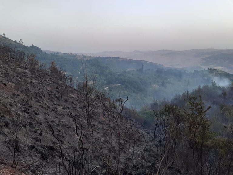 Incendio a Polizzi Generosa: la comunità madonita si mobilita per estinguere il rogo