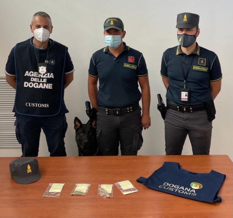 Guardia di finanza Palermo: sequestro sostanza stupefacente grazie al fiuto del cane Ikay