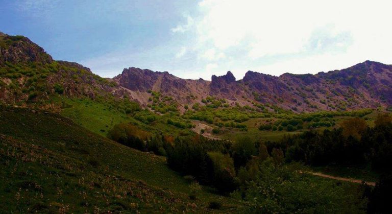 Ente Parco delle Madonie: finanziamento da 100 mila Euro per salvaguardia biodiversità