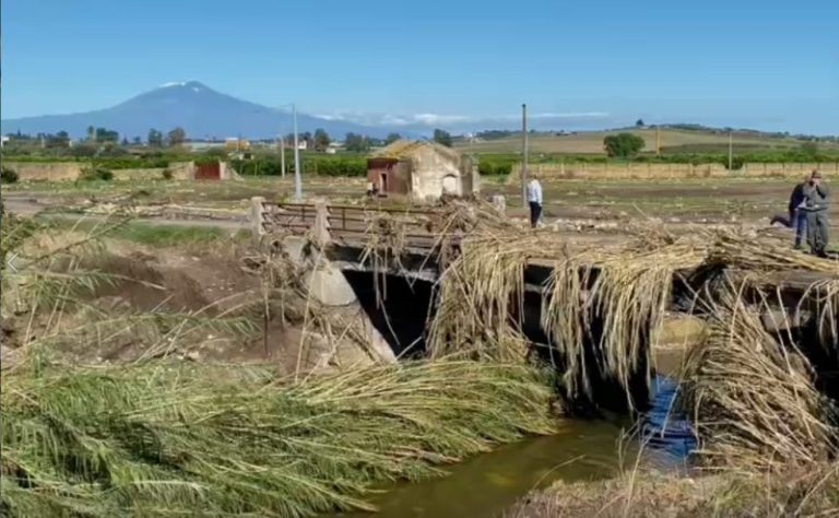 Gangi, maltempo maggio-giugno: richiesta di riconoscimento dello stato di calamità per l’agricoltura