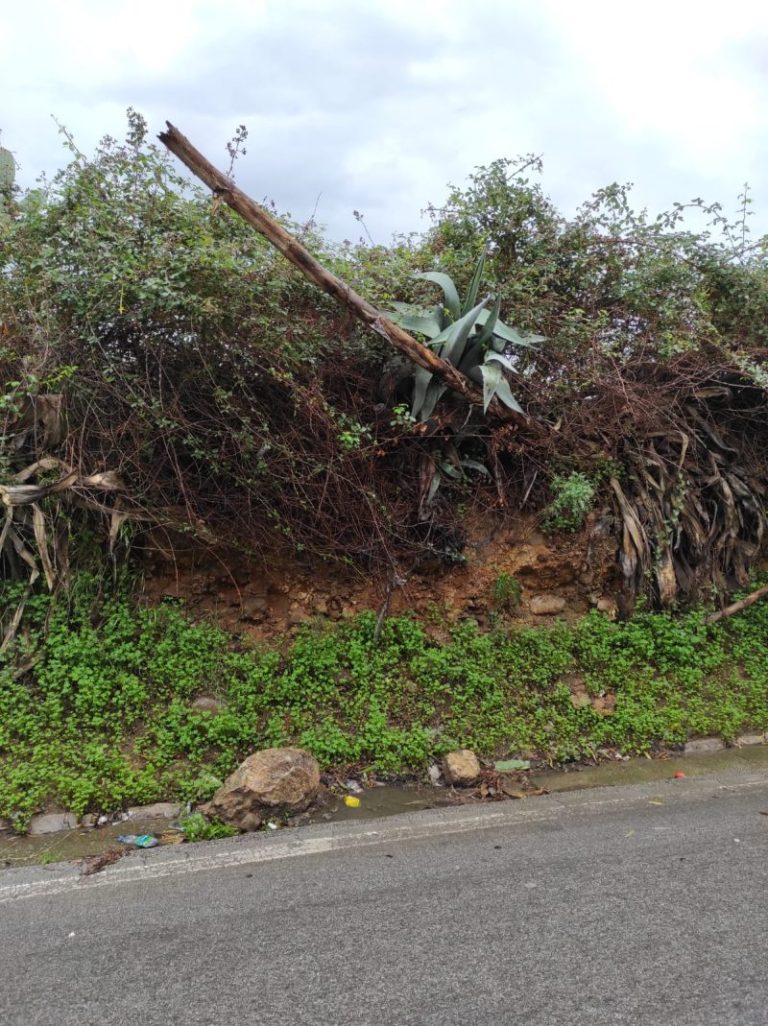 Maltempo Termini Imerese: massi e arbusti sulla SS 113 nei pressi del cimitero, pericolosi per le auto in transito FOTO