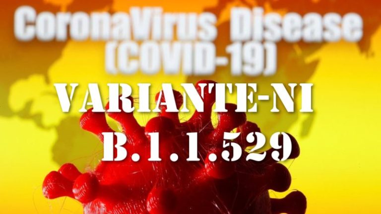 Si chiama B.1.1.529 o (νι – ni) la nuova variante COVID sudafricana che fa preoccupare il mondo scientifico