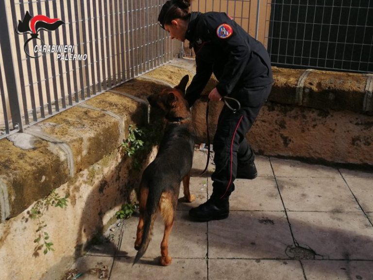 Operazione ‘’Carthago’’: 12 arresti dei carabinieri  a Palermo e provincia VIDEO