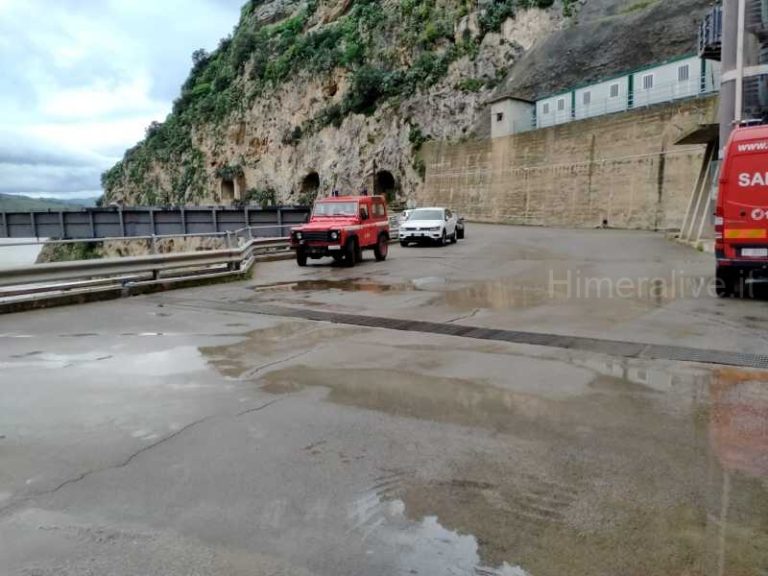 Caccamo: i pompieri salvano cane finito nella diga Rosamarina VIDEO E FOTO