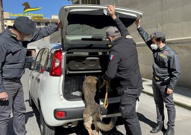 Guardia di Finanza: arrestati due corrieri della droga a Buonfornello, trasportavano 5,8 chili di cocaina a Palermo