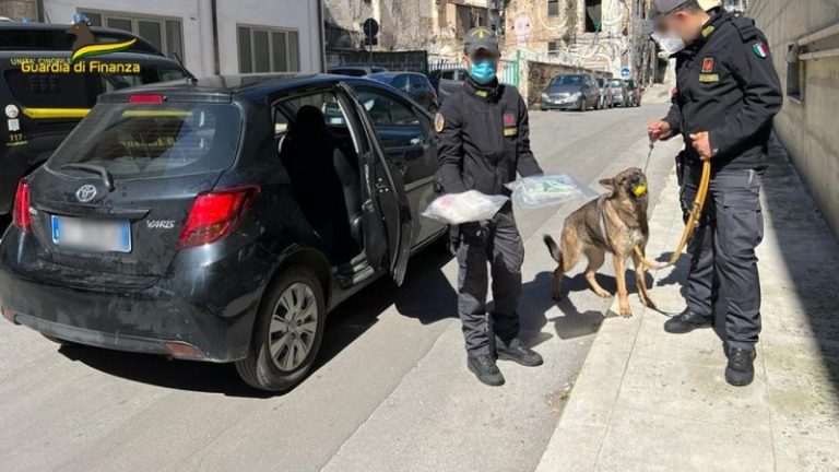 Sequestrati 2,4 kg di cocaina in provincia di Palermo: arrestato corriere VIDEO