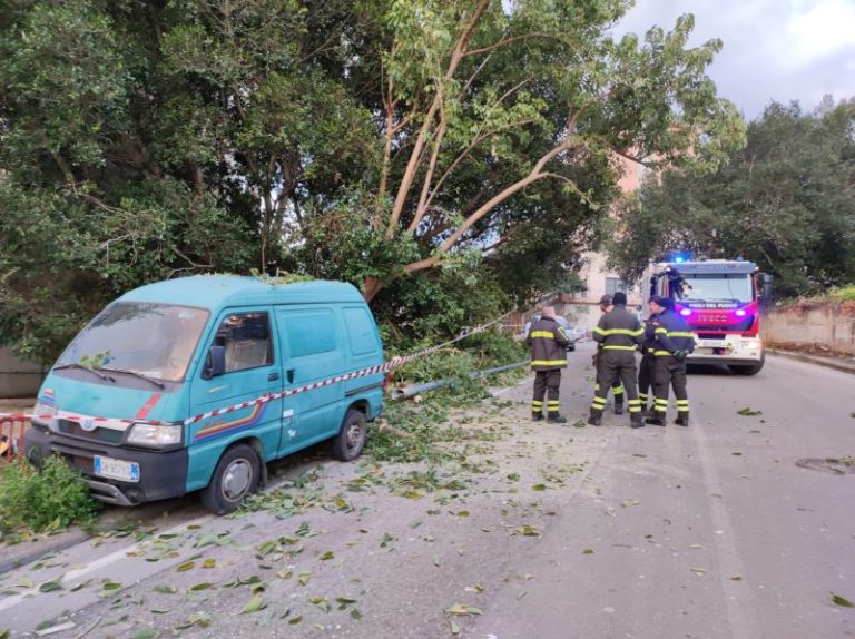 Termini Imerese: paura nel quartiere Rocca Rossa, albero si abbatte su palo della luce e su vettura LE FOTO