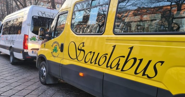 Paura per 14 alunni: scuolabus finisce contro un palo