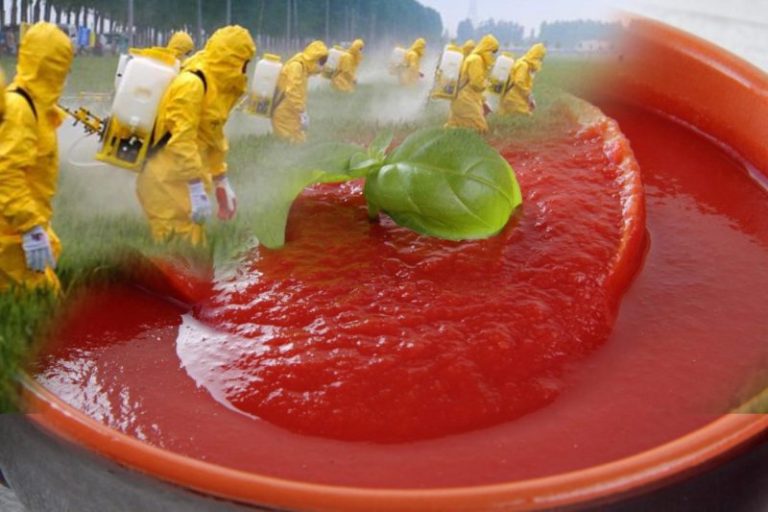 Test su condimenti per la pasta: sughi al pesto e passate di pomodoro