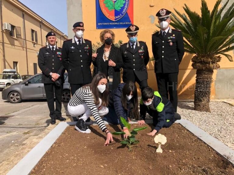 Momenti di emozione e commozione alla cerimonia di piantumazione della talea dell’albero Falcone