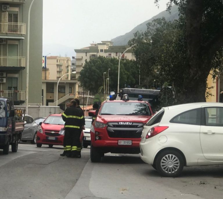 Forte vento a Termini Imerese: crollano grossi rami  nella via Senatore Edoardo Battaglia FOTO