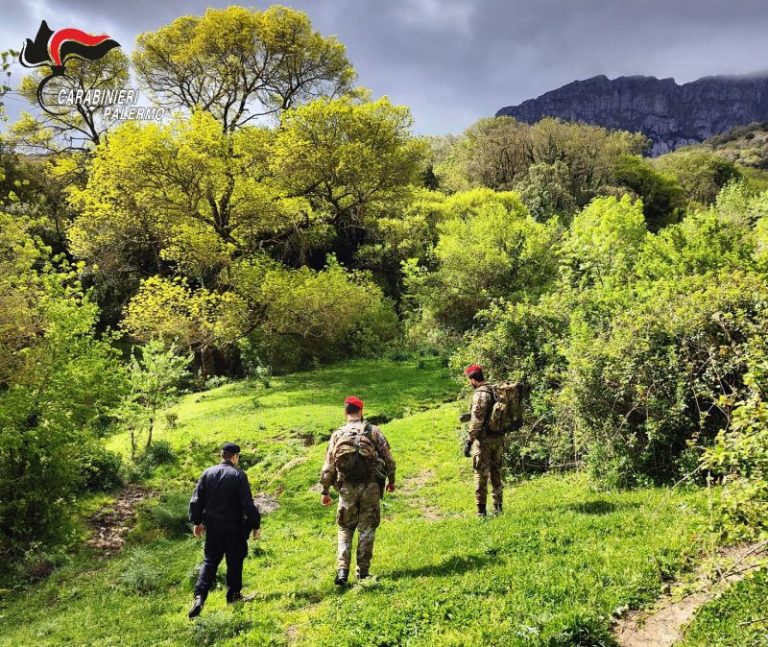 Carabinieri: intensificati i controlli nelle aree rurali in provincia di Palermo, denunciato un uomo di 44 anni