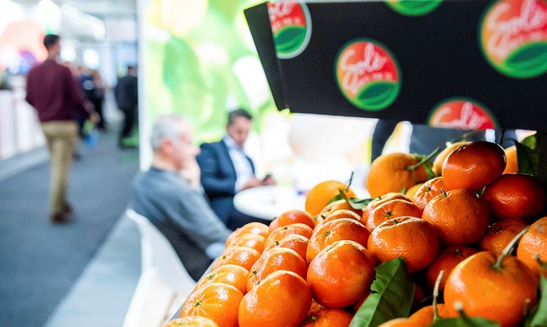 Agroalimentare: la Sicilia alla Fruit Logistica 2022 di Berlino, Scilla: «Grande vetrina per le nostre eccellenze»