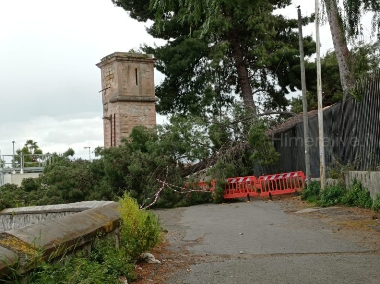 Termini Imerese: tragedia sfiorata, un albero si abbatte all’interno del tribunale FOTO