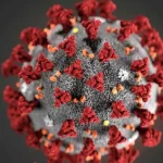Covid-19: uno studio svela perchè alcuni soggetti non si ammalano pur essendo esposte al virus