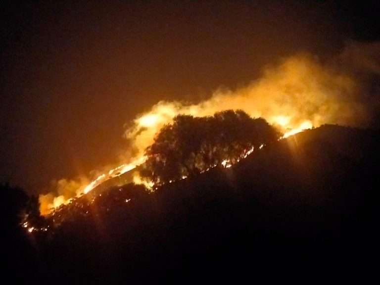 Soffia forte il vento in provincia di Palermo: incendi a Termini Imerese, Cefalù e Monreale VIDEO E FOTO