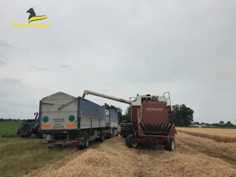 Guardia di Finanza: pirateria agroalimentare, sequestrate oltre 105 tonnellate di grano duro e cinque denunciati