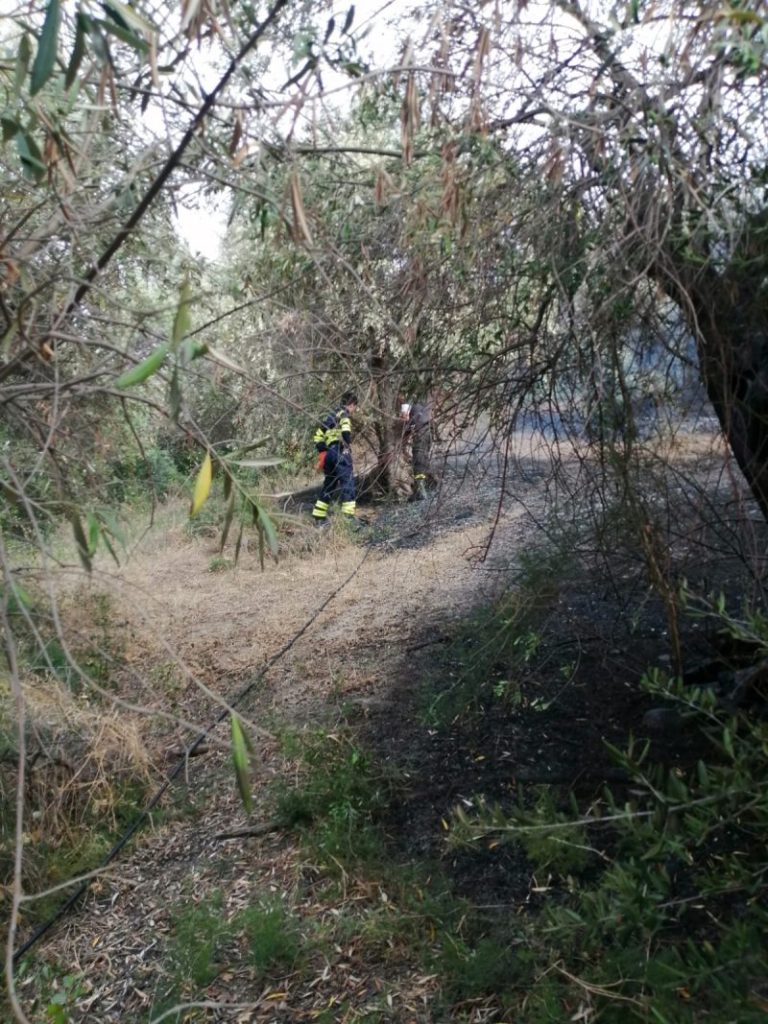 Prevenzione incendi, Musumeci ai sindaci: «I terreni incolti sono un pericolo»