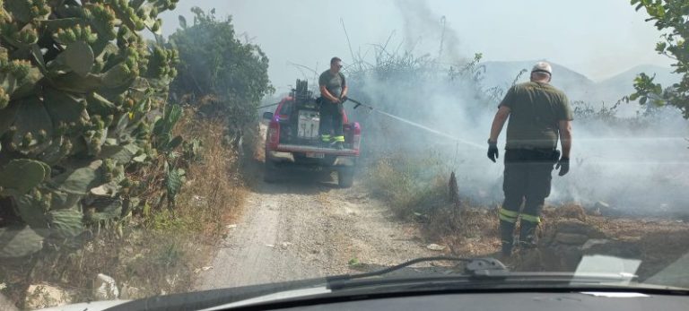 Caldo e afa: divampano gli incendi in provincia di Palermo FOTO