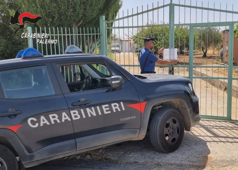 Furti in provincia di Palermo e ricettazione di veicoli: arrestato dai carabinieri