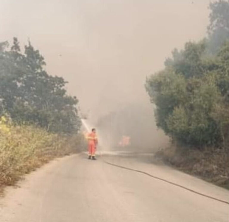 Incendi Montemaggiore Belsito: avviata una raccolta fondi a sostegno degli allevatori e agricoltori montemaggioresi