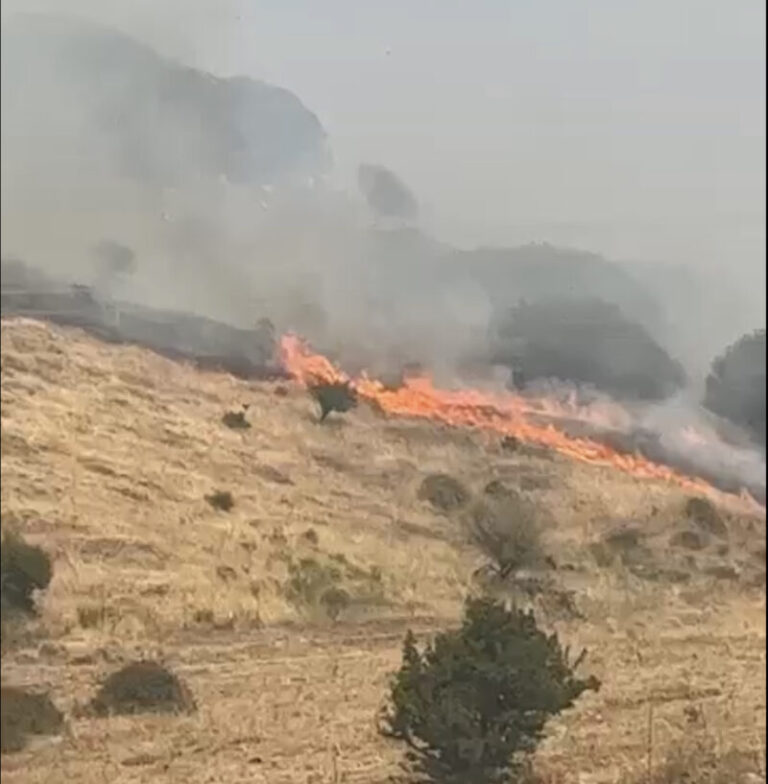 Ancora fiamme a Montemaggiore: brucia la riserva di Favara Granza FOTO E VIDEO