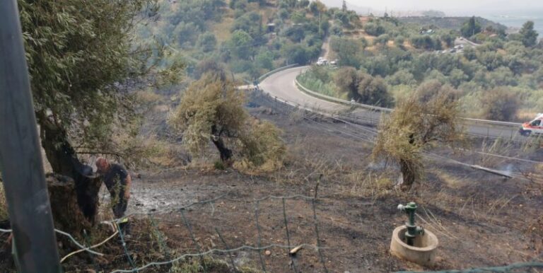 Paura in contrada Cortevecchia: alte lingue di fuoco lambiscono una villetta FOTO E VIDEO