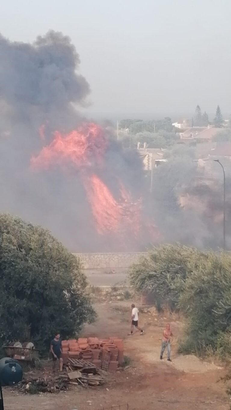 Vasto incendio a Trabia spaventa i residenti