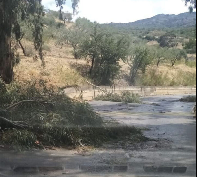 Maltempo: tragedia sfiorata sulla strada di collegamento tra Cerda e Montemaggiore, albero si abbatte su auto