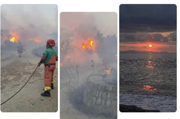 Incendi: dopo la giornata di fuoco gli allevatori montemaggioresi fanno la conta dei danni