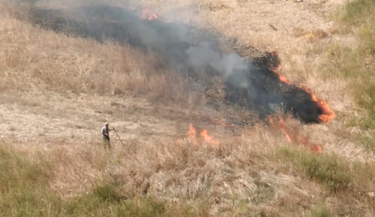 Guardie del WWF sorprendono e filmano un piromane mentre appicca il fuoco nelle campagne VIDEO