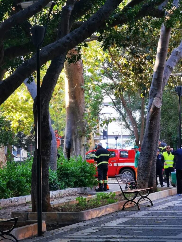 Momenti di paura a Termini Imerese: albero in fiamme alla villa Palmeri FOTO