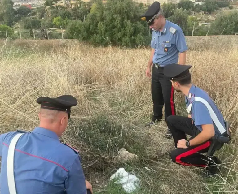 Neonato abbandonato in un sacchetto di plastica nel trapanese: salvato dai carabinieri